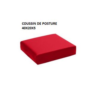 COUSSIN DE POSTURE 40X20X5