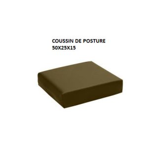 COUSSIN DE POSTURE 50X25X15
