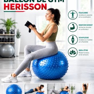 BALLON DE GYM HERISSON
